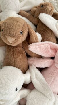 Uyku Arkadaşı Kahve