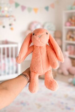 Uyku Arkadaşı Somon